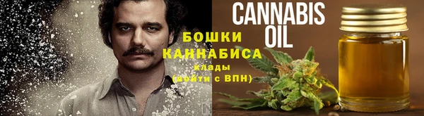 твердый Новодвинск