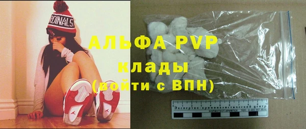 твердый Новодвинск