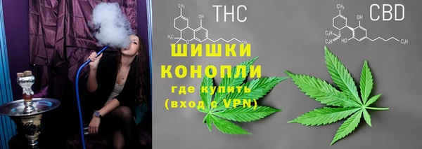 молекула духа Новокубанск