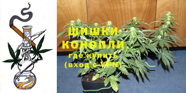 твердый Новодвинск
