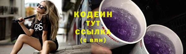твердый Новодвинск