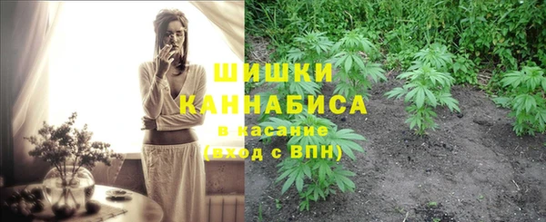 молекула духа Новокубанск
