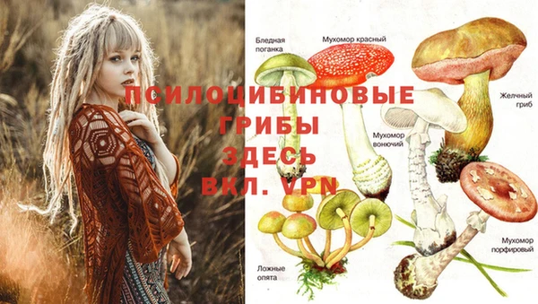 твердый Новодвинск