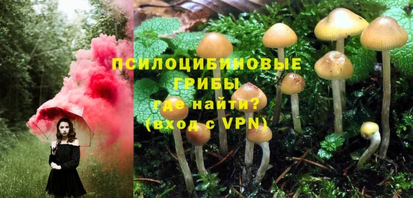 спиды Болохово