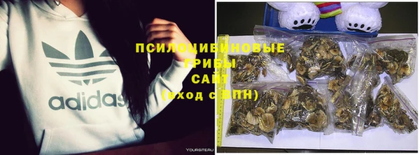 спиды Болохово
