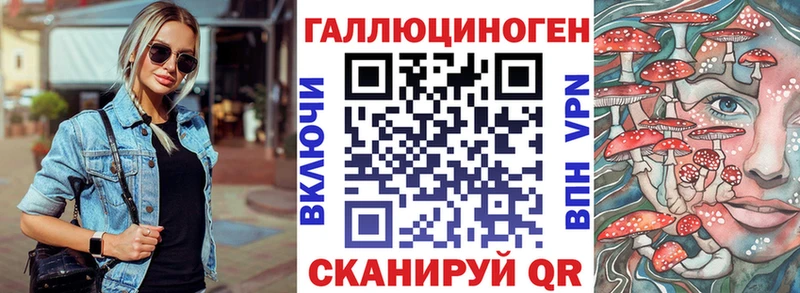Галлюциногенные грибы Psilocybe  Элиста 