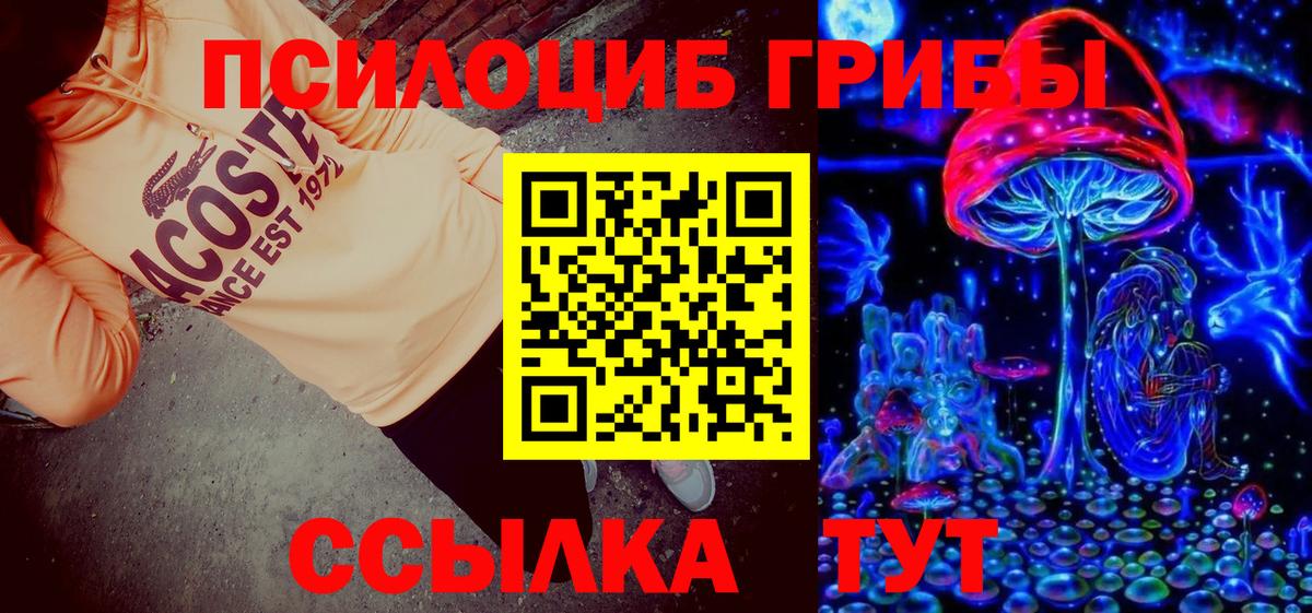 Галлюциногенные грибы прущие грибы Элиста