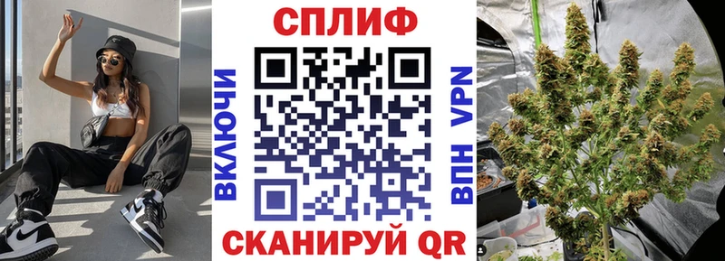 Бошки марихуана тримм  где найти   shop состав  Элиста 