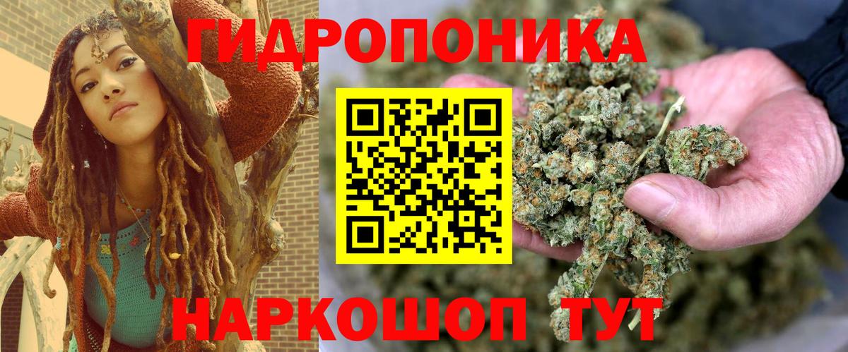 Конопля план  МАРИХУАНА Bruce Banner  Вход с VPN  МАРИХУАНА MAZAR  Элиста  МАРИХУАНА AK-47 